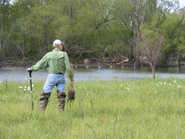 ManHoldinguninwetlands