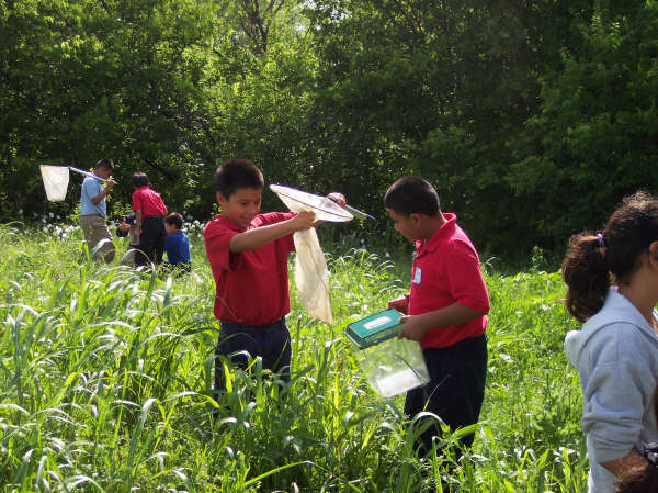 Kids in tall grass