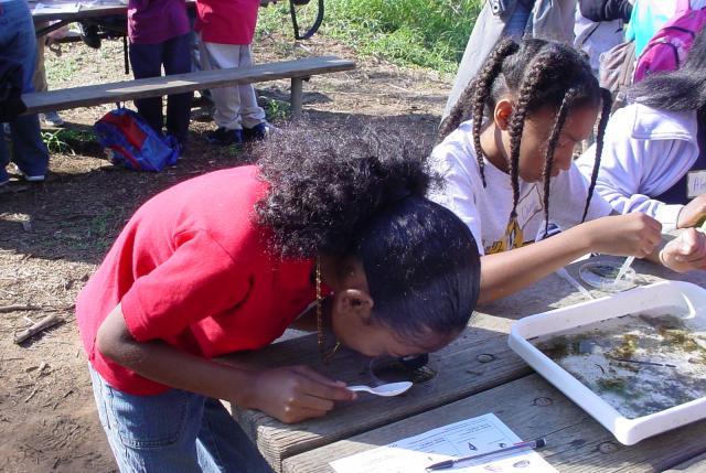 children working on science projects