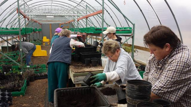 Plantingvolunteers