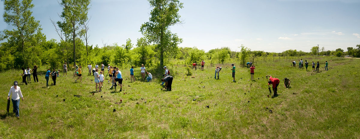 Planting Panorama1[1]