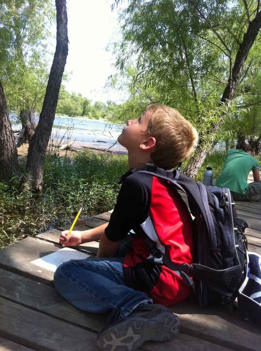 boy looking up into trees and taking notes